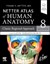 LATIN TERMINOLOGY Netter Atlas of Human Anatomy: Classic Regional Approach with Latin Terminology, 8th Edition