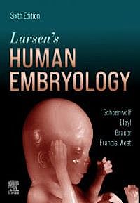 Larsen's Human Embryology, 6th Edition