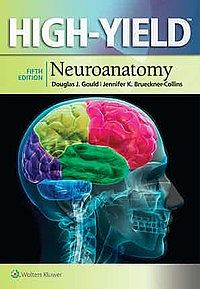 High-Yield Neuroanatomy 5th