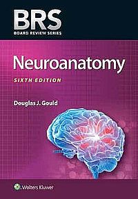 BRS Neuroanatomy Sixth edition