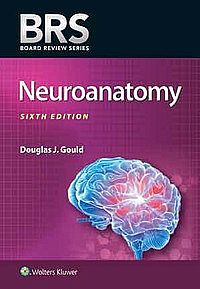 BRS Neuroanatomy Seventh edition