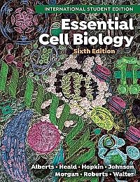Essential Cell Biology 6th International Student Edition