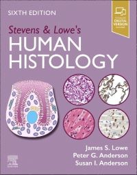 Stevens & Lowe